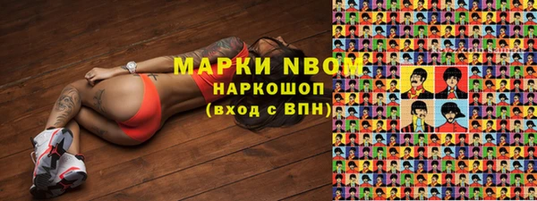 крисы Алексин